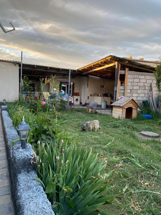 Mamuka'S Guesthouse Udabno Exterior foto